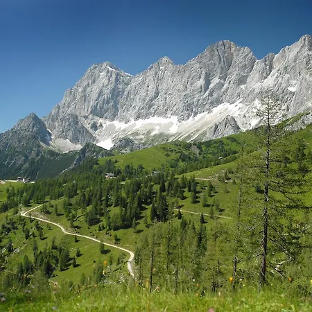 شقة Alpenblick