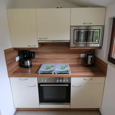 Daire Alpenblick Ramsau am Dachstein