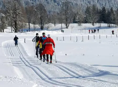 아파트 Alpenblick *