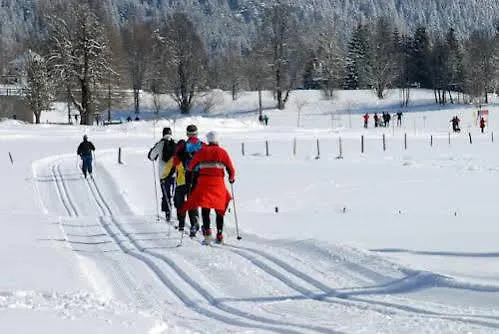 Апартаменты Alpenblick *